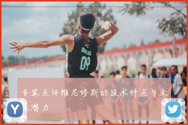 专家点评维尼修斯的技术特点与未来潜力