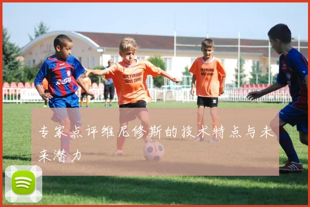 专家点评维尼修斯的技术特点与未来潜力